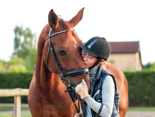 Girl kissing a horse