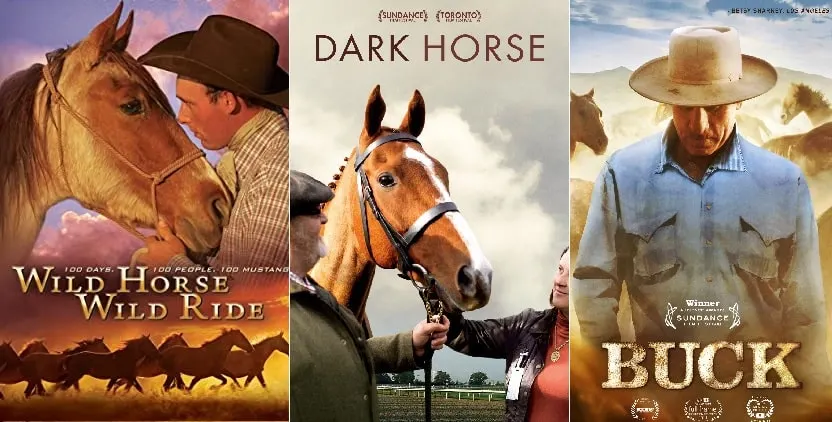 Best horse documentaries you can watch online (Amazon & Netflix)