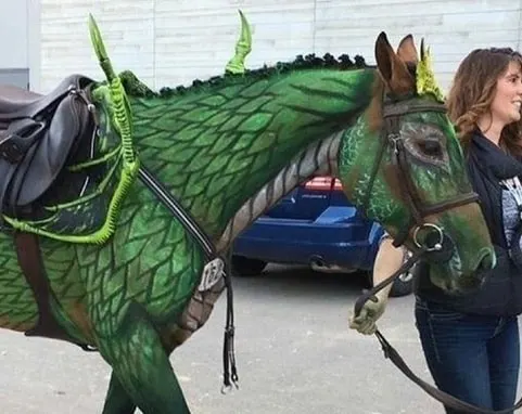 Horse dragon painting costume