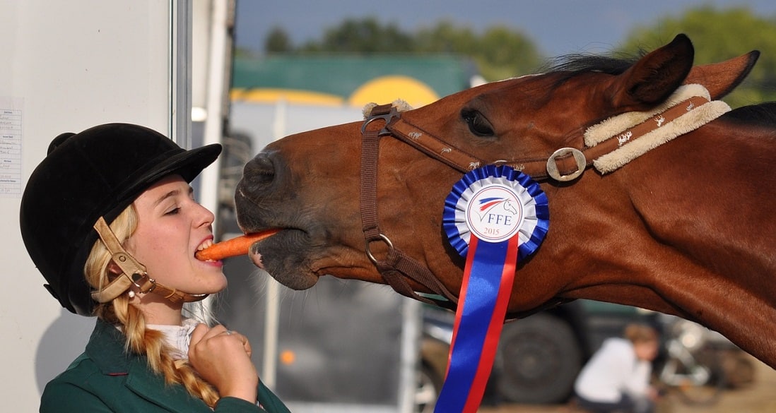 10 Funny & Gross Things Horsey People Do