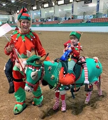 Horse elf and Christmas costume