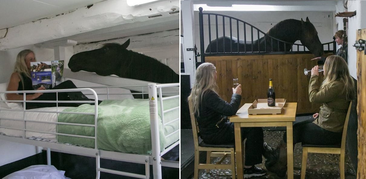 Horse Fans Can Book Sleepovers With Ponies In A New Quirky Converted ...