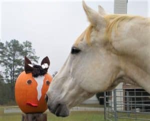 20 Amazing Horse Pumpkin Carving Ideas for a Spooky Halloween