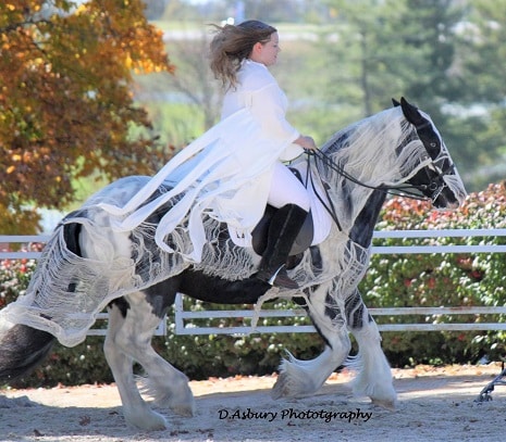 horse ghost and ghoul costume with rider