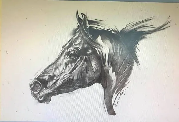 Louise Mizen Furgusen drawing of a horse