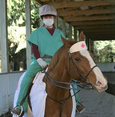 Horse and rider nurse costume idea
