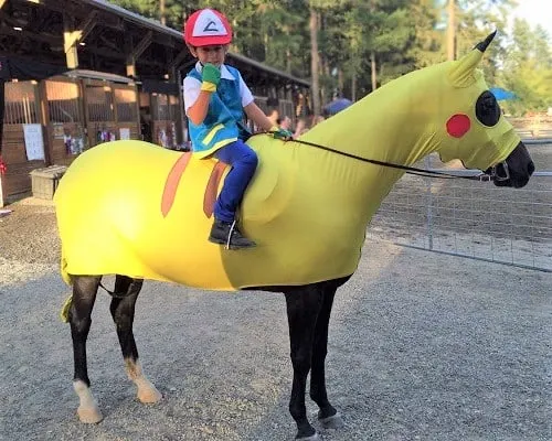 Kid and horse Pokemon costume