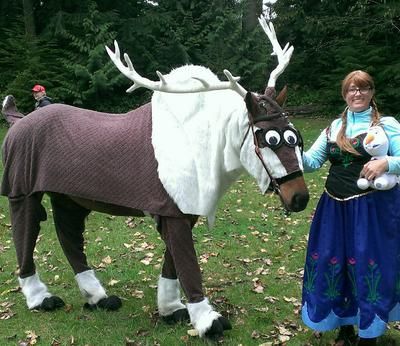 Horse dressed up as a reindeer for fancy dress