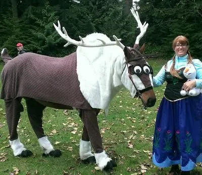 Horse dressed up as a reindeer for fancy dress