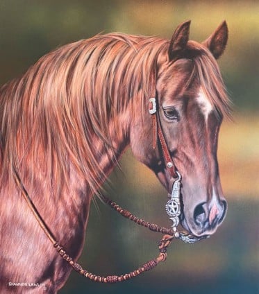 Shannon Lawlor Gallery drawing of a horse with a bridle on