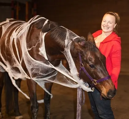 Horse with fake spider webs on it