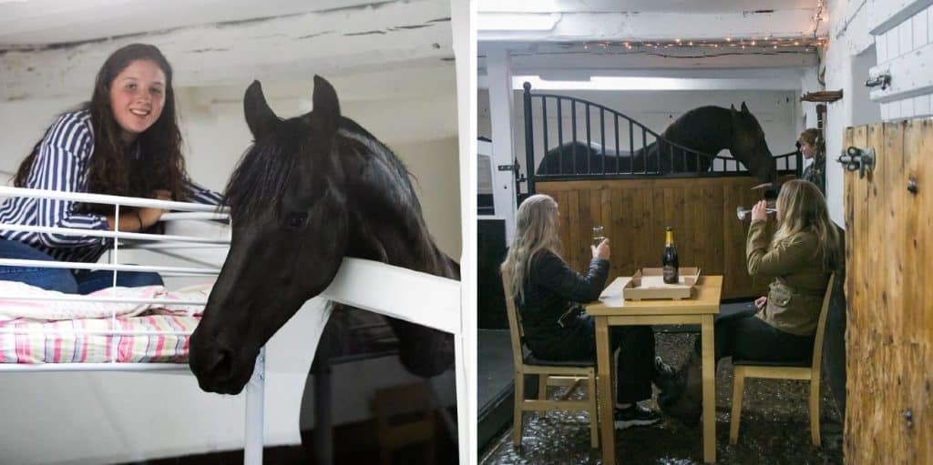 Stable Stays Hotel Where Horse Lovers Can Sleep Next to Horses
