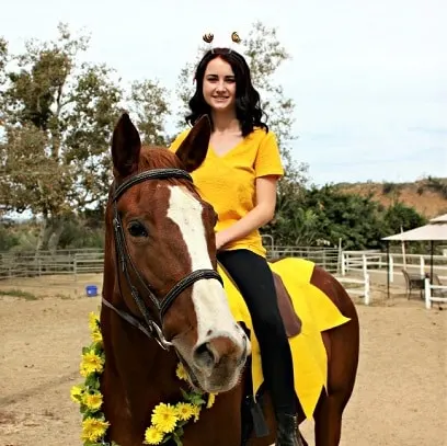 Costume de cheval tournesol