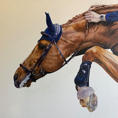 Drawing of a horse's head while jumping Tony O Connor, Equine Artist