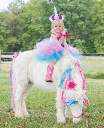 30 Best Horse Costume Ideas (Halloween, Christmas & Fancy Dress)