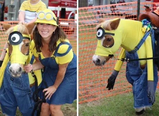 Horse and rider Minions costume