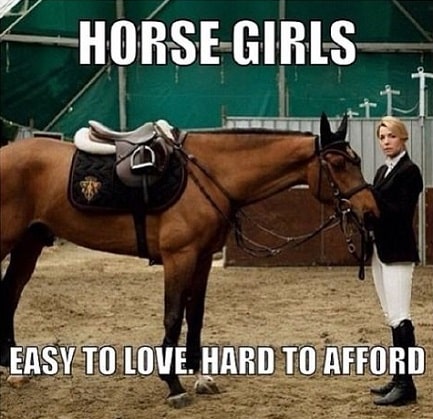 Horse girls hard to afford meme