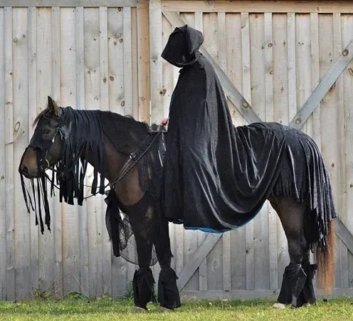 How to Make Your Own DIY Horse Costume (8 Examples)