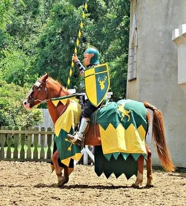 Colorful medieval horse knight costume