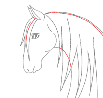 Rustic Horse Head Sketch Equestrian 10