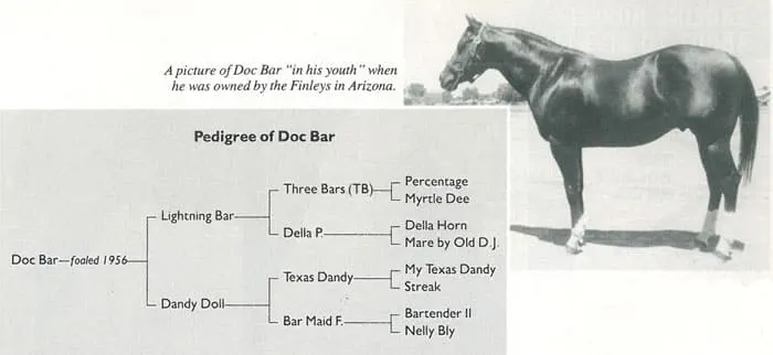 Doc Bar pedigree chart - Doc Bar horse offspring