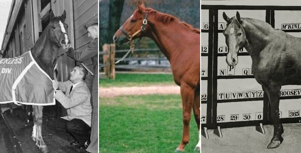 7 Most Incredible Horses In History