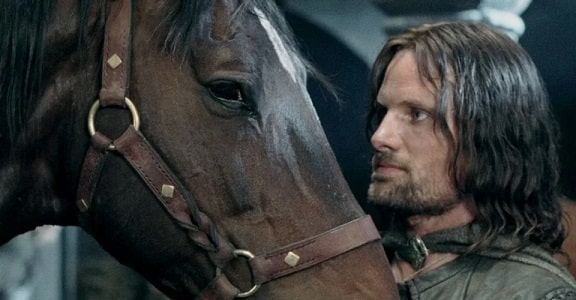 Horse from Lord of the Rings