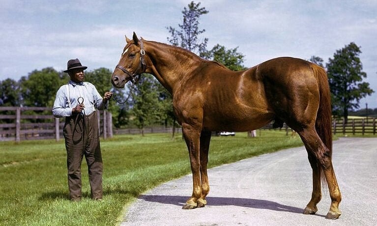 8 Interesting Facts About Man o’ War (History, Stats, & FAQs)