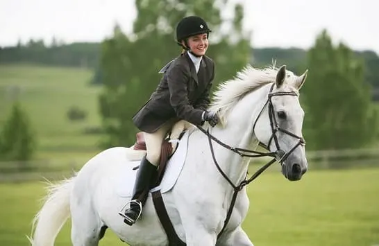 Pegasus Heartland horse ridden my Amy Fleming