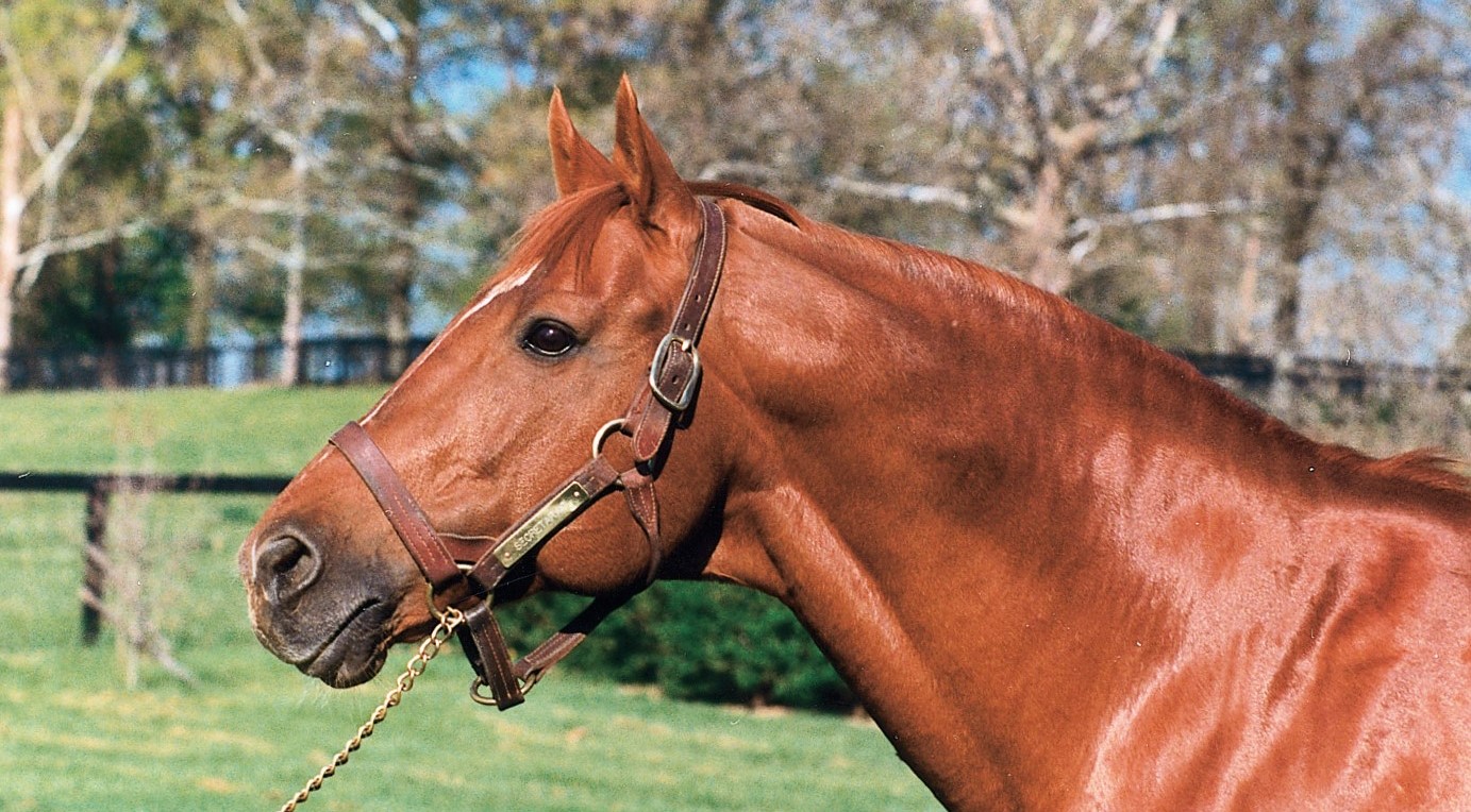 8 Facts You Didn’t Know About Secretariat