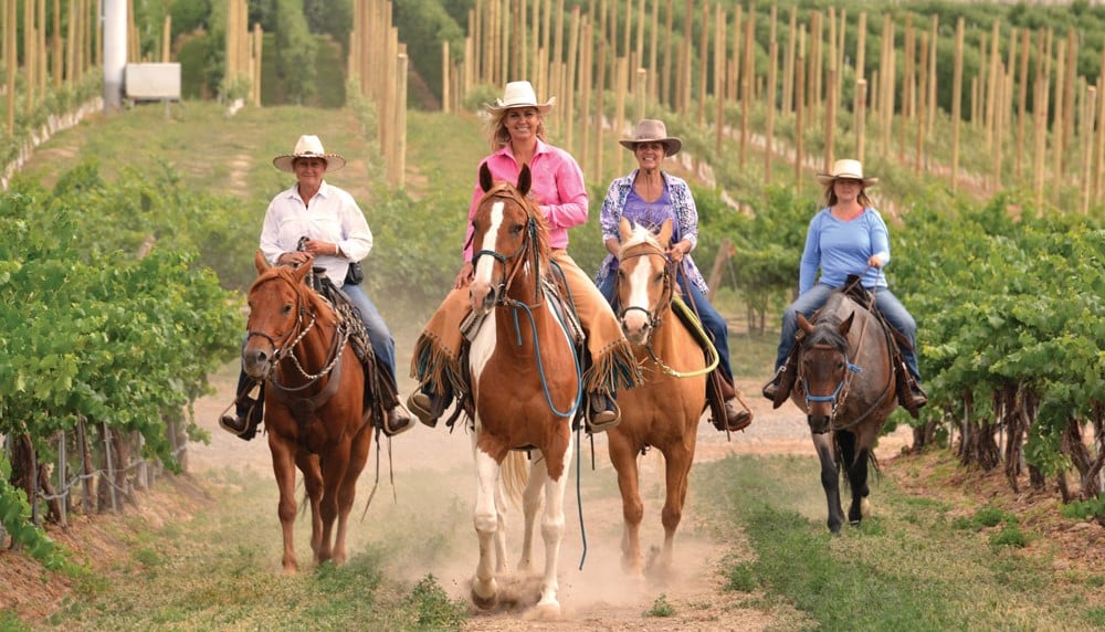 Bed & Breakfast Allows Guests to Ride Horses Rescued From Slaughter