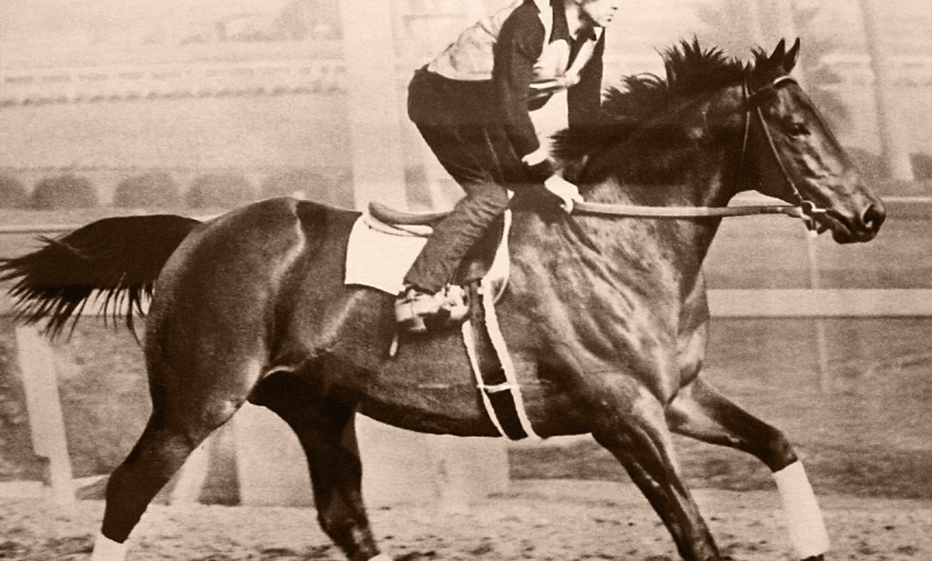 Seabiscuit: 12 Incredible Facts About the Legendary Racehorse