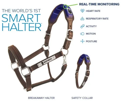 Nightwatch app smart halter and collar