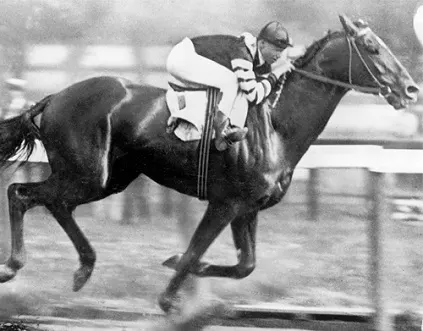 Man o' War racehorse racing at Belmont Stakes