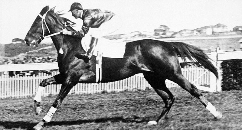 10 Interesting Facts About Phar Lap (Owner, Jockey, History & FAQs)