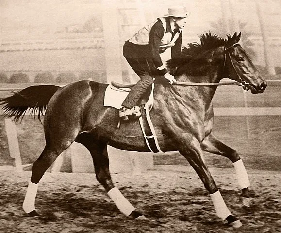Seabiscuit racehorse racing