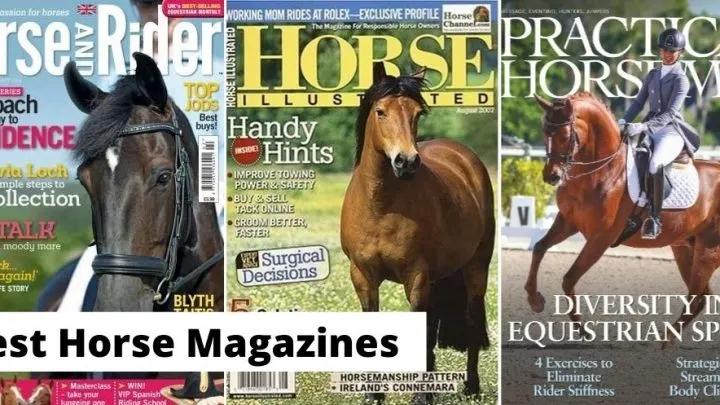 best horse magazines for equestrians and horse lovers