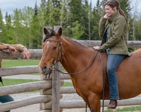 Minnie, bay mare horse owned by Georgie in Heartland