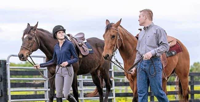 Murry State University equine program