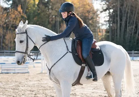 Phoenix, grey gelding horse from Heartland being ridden by Georgie Fleming Morris