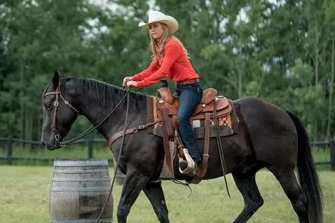 Spartan, black Quarter horse owned by Amy Fleming from Heartland