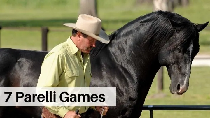 7 Parelli Games natural horsemanship horse training