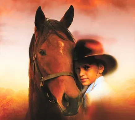 Chestnut Arabian horse from the TV series My Friend Flicka