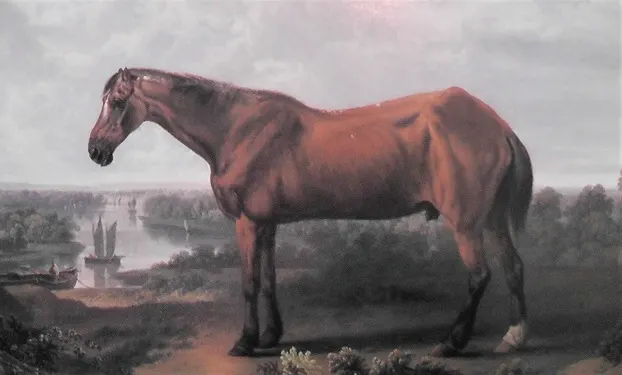 A painting of Old Billy, the oldest horse in history