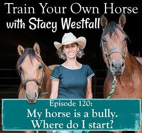 Stacey Westfall horse podcast for horse owners
