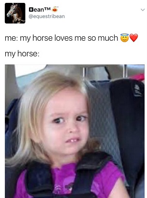 How much my horse loves me meme