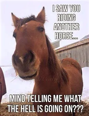 40 Funny Horse Memes Equestrians Will Find Hilarious