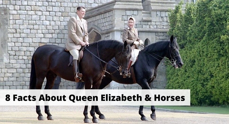 Facts about Queen Elizabeth and horses. Horse racing, breeding, and horse riding