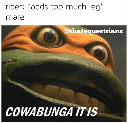 horse teenage mutant ninja turtle meme