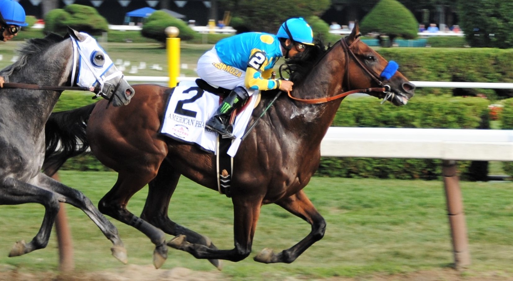 10 Interesting Facts About American Pharoah (History, Stats, FAQs)